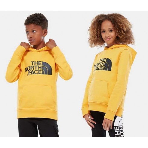 SWEAT THE NORTH FACE YOUTH DREW PEAK HOODIE