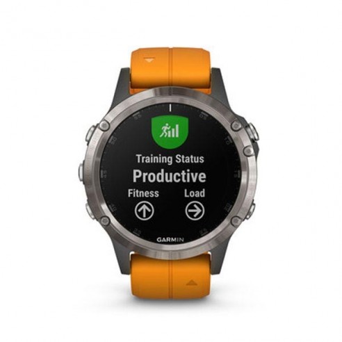 Garmin fenix 5 plus gym workouts online