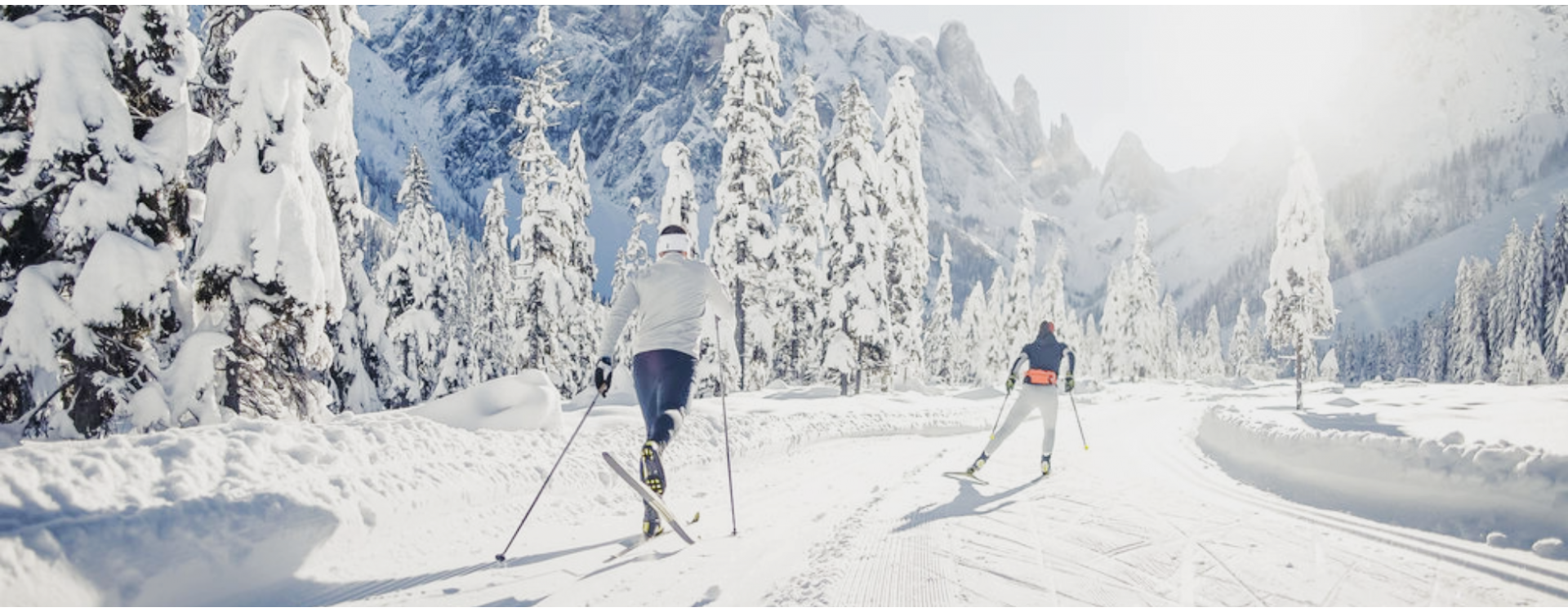 Cross country ski